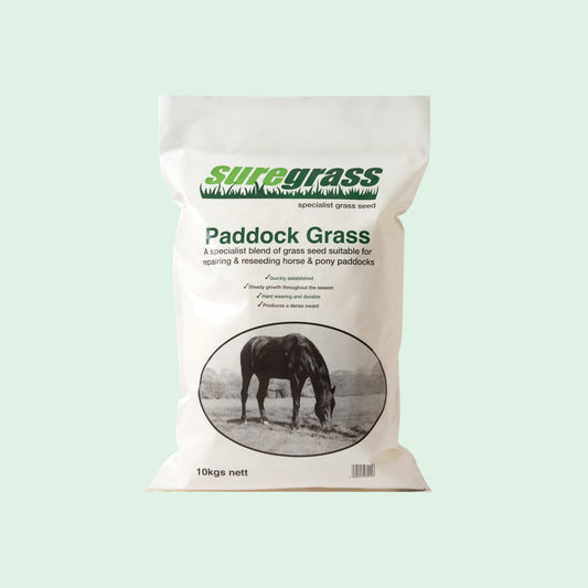 Paddock Grass Seed Mix
