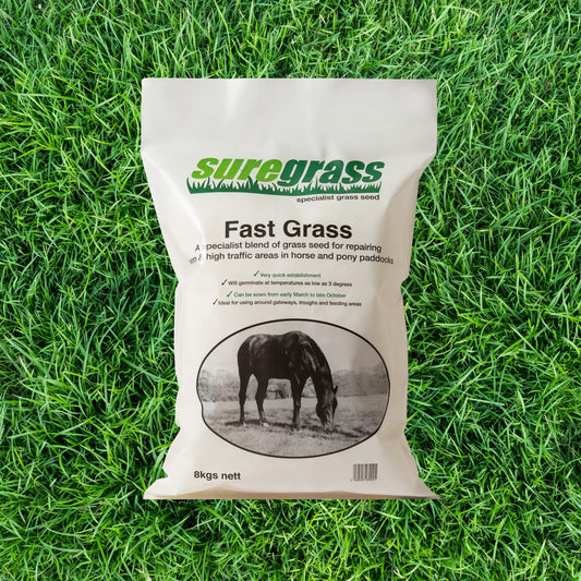 Fast Grass